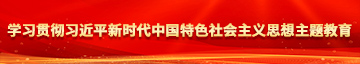 操逼较件是频学习贯彻习近平新时代中国特色社会主义思想主题教育